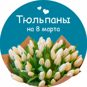 Купить тюльпаны в Могоче